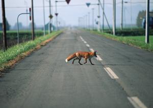 一宮市の軽自動車の専門店は安くて親切