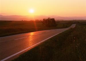 可児市での中古車買取を成功させるための完全ガイド【高価査定のコツと信頼できる業者の選び方】