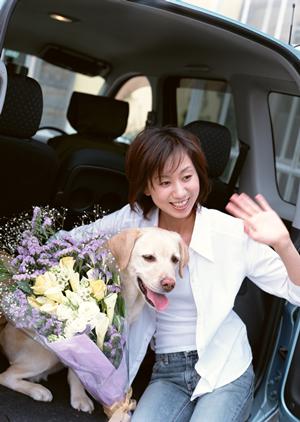 名古屋車検の種類はどういったものがある