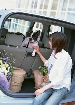 車検を行っている会社として有名である